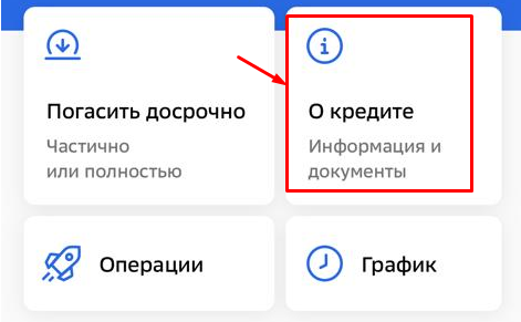 sber1