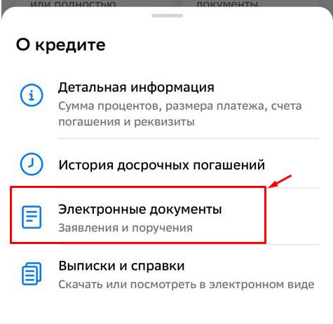 sber1